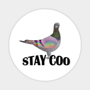 Stay Coo says the Pigeon Magnet